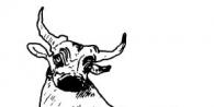 What does bull man mean in mythology?