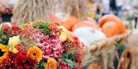 DIY autumn bouquets: learning to assemble compositions with bright shades of the season