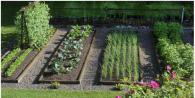 Spring work in the garden and vegetable garden Summer garden care